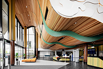 Modular Timber Panels - Celebrating 15 Years with Screenwood