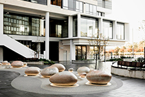 Residential Public Area Art for Lachlan's Line with Axolotl