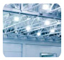 Ecoglow