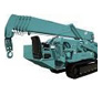 SVSR Mini Crane Hire