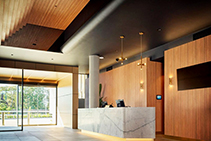 Cost-effective Linear Interior Wall Panels by Screenwood