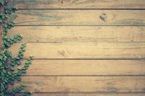 	Water-Based Woodcare for Timber from Network Building Supplies	
