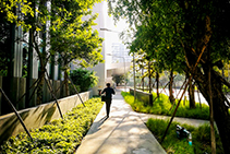 Sustainable Lighting Design by Pierlite