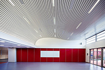 Continuous Linear Ceiling Feature Panels by Atkar