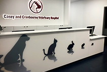 Printed Acrylic for Office Reception by Innovative Splashbacks