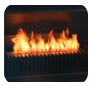 EcoSmart Fire