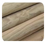 Wilson Timber