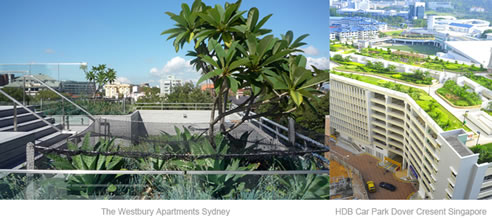 green roofs