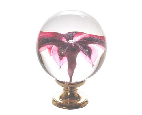 glass light fitting