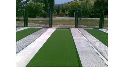 cricket pitch surface