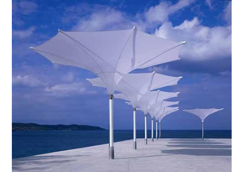 tulip shaped umbrellas