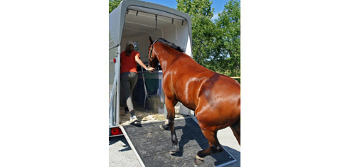 equine rubber flooring