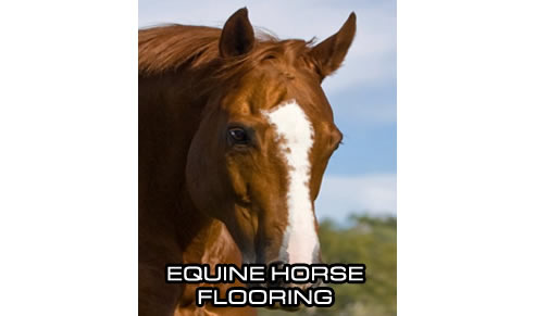 horse stable flooring