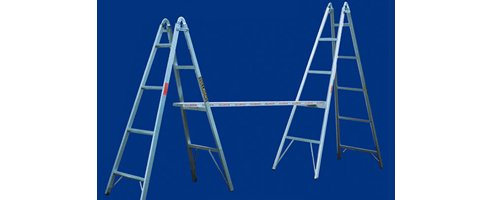 scaffold plank ladder