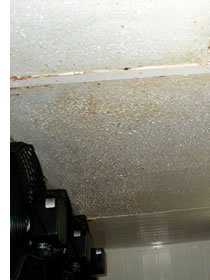 rust in cool room ceiling panel