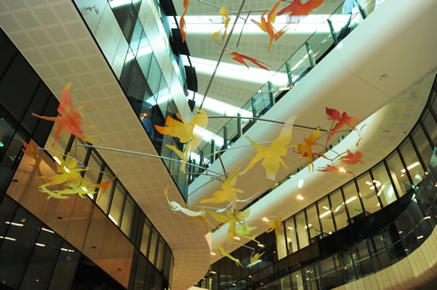acoustic panels in large open space