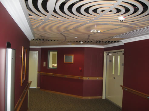 decorative circular patterned ceiling