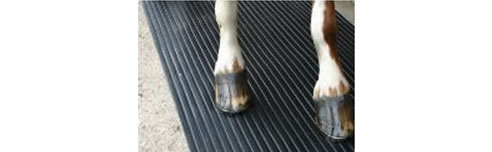 wide ribbed rubber roll for horse floats