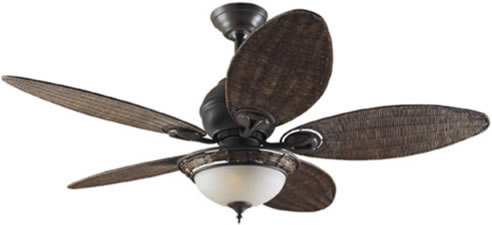 fan with wicker blades