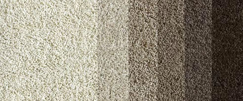natural alpaca wool carpet colours