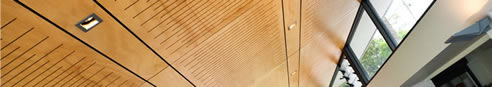 acoustic ceiling panels