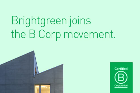 brightgreen b corporartion