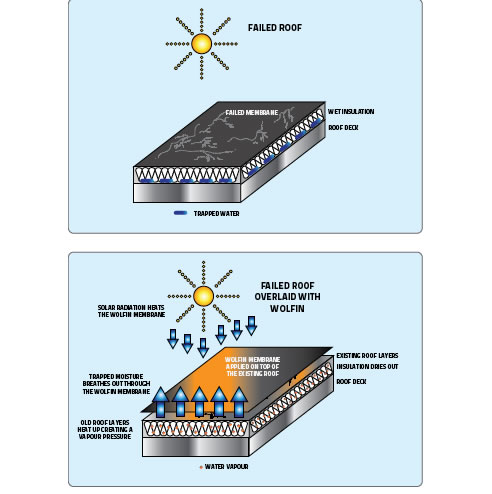 flat roof waterproofing refurbishment