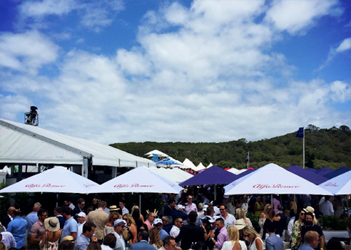 Cafe Series Market umbrellas from Instant Shade Umbrellas