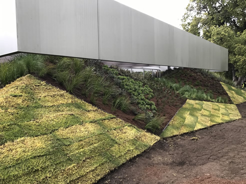 grass embankment MPavilion 2017