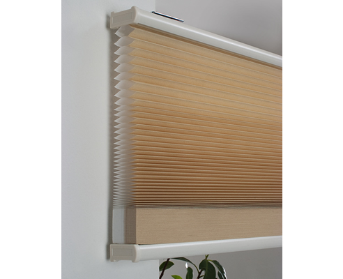 Honeycomb Blind