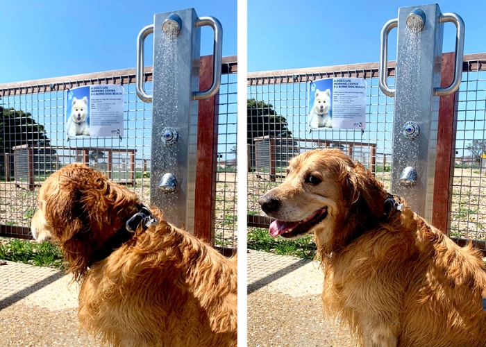 Stainless Steel Dog Showers for Beaches by Britex