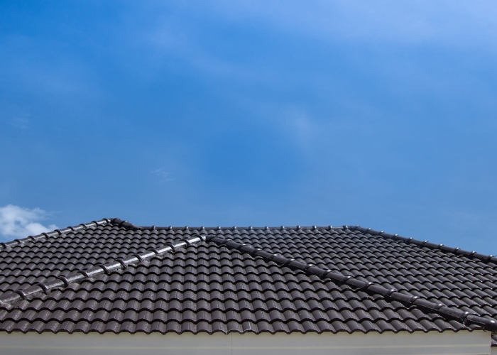 Sydney Roof Painting Services for Roof Maintenance by Duravex Roofing