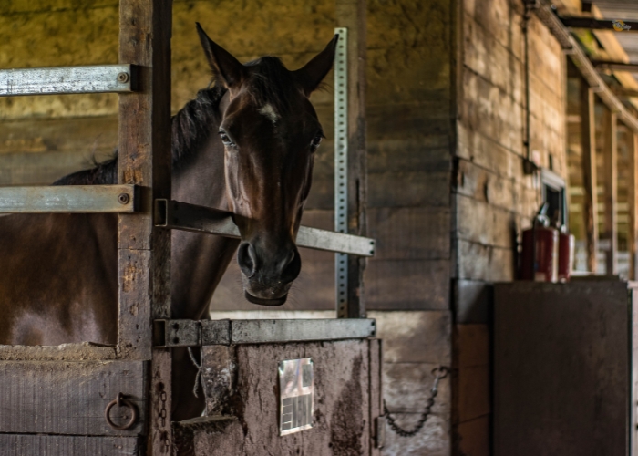 New Buckaroobarn January 2023 Interlocking Mat Range from Sherwood Enterprises