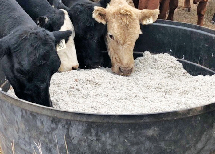 Round Feed and Water Tub by RELN