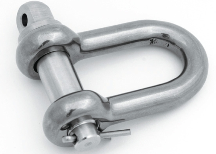 Dee Shackles for Lifting Applications by Bridco