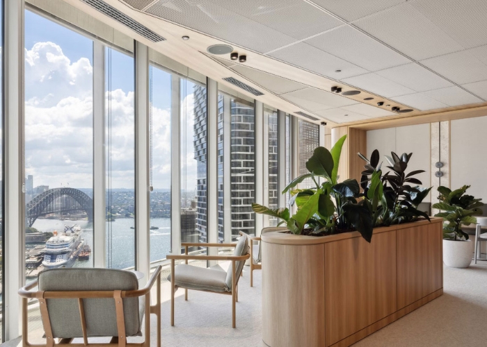 Decorative Acoustic Ceiling Panels for Corporate Workplaces