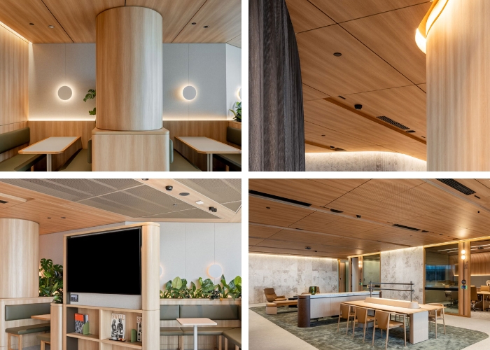 Decorative Acoustic Ceiling Panels for Corporate Workplaces