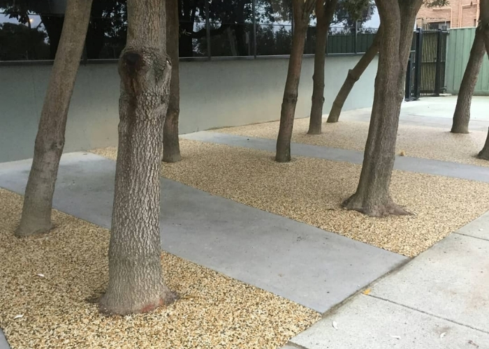 Paving Solution for Tree Pits by MPS Paving Systems