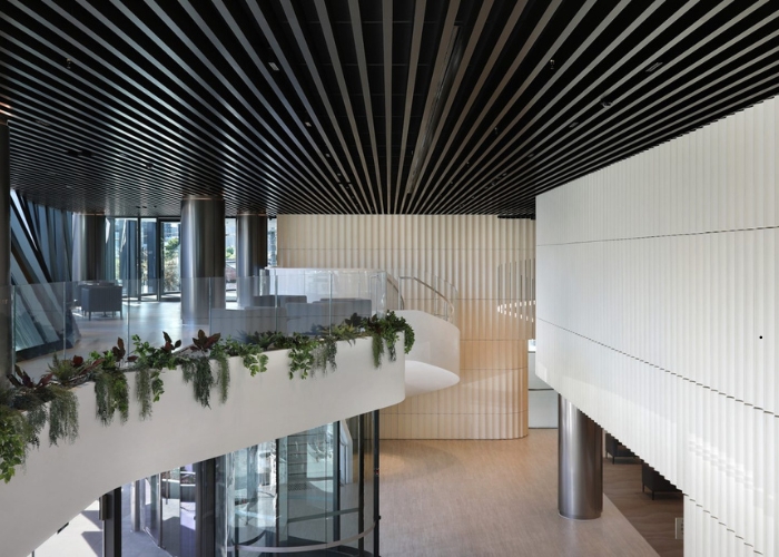 High-Performance Solar Control for Eleven Eastern by Verosol