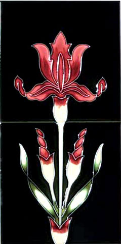 "Oriental Iris"