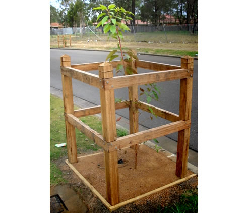 tree guard