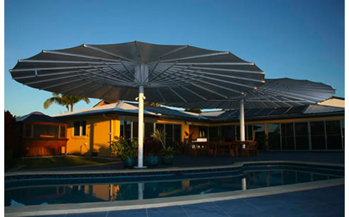 seashell awning