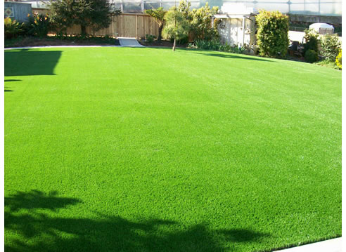 fake grass