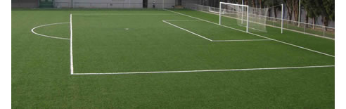 synthetic sports grass