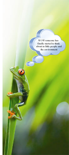 frog