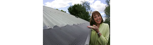 gutter protection with denise drysdale