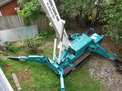 mini crane in backyard