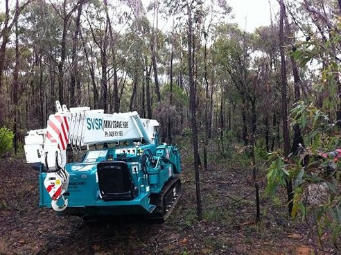 mini crane in bushland