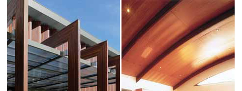 structural timber interior