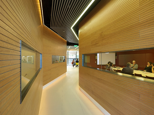 acoustic timber interior lining